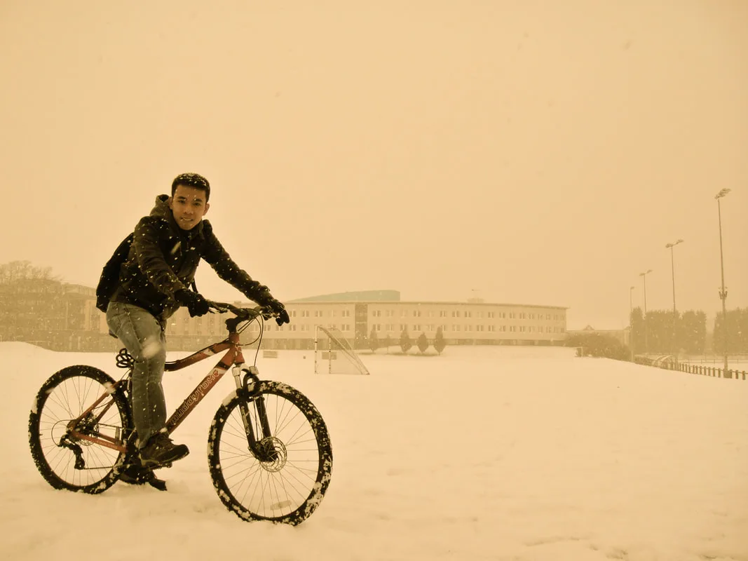Picture
