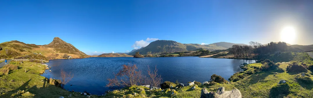 Picture
